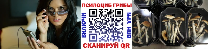 Галлюциногенные грибы Cubensis  Чебоксары 