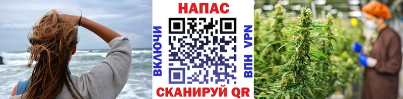 Каннабис Ganja  где найти наркотики  гидра ONION  Чебоксары 